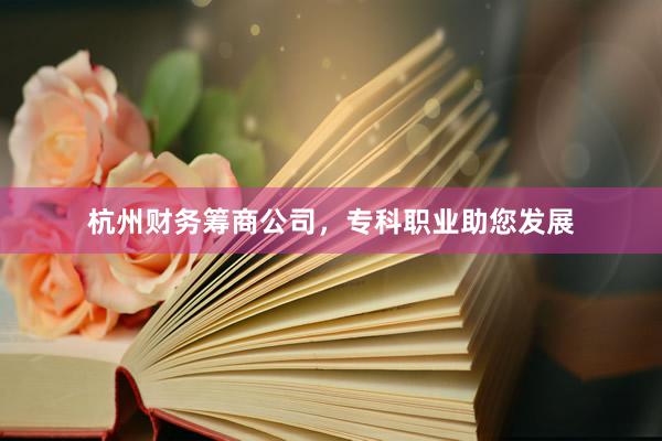 杭州财务筹商公司，专科职业助您发展